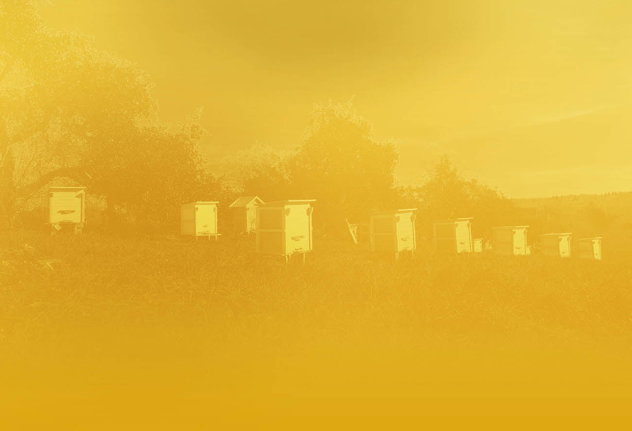 Fuller's Organic Honey Dew Golden Ale 8X 500ml Bottle Fuller’s Brewery